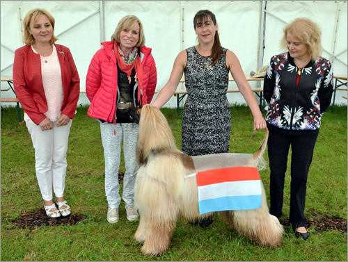Best in Show WFL 2016 -