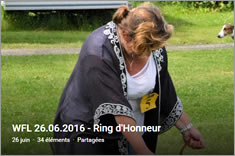 Ring d'Honneur