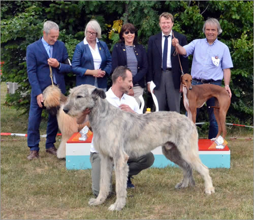 Best in Show WFL 2017 -