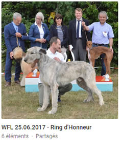 Ring d'Honneur