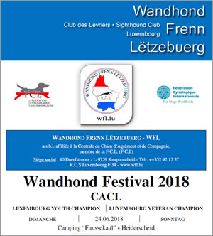 WFL Festival 2018