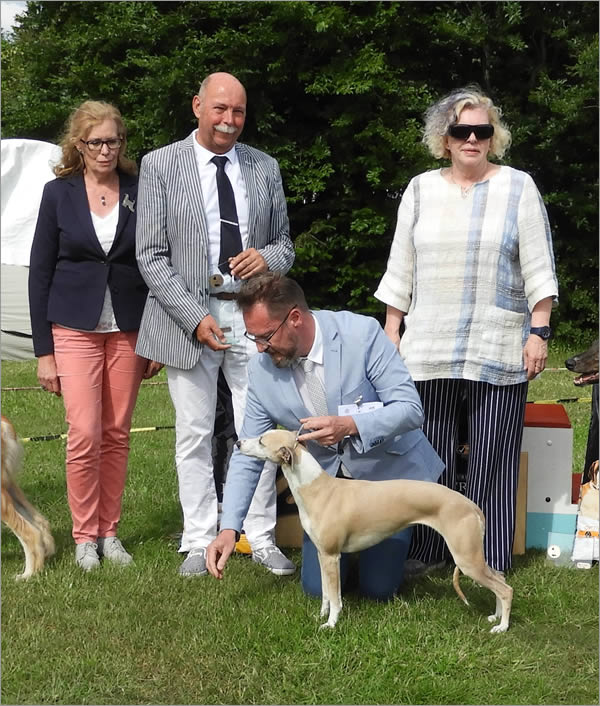 Best in Show WFL 2019 -