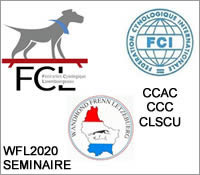 WFL 2020 - Séminaire