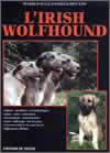 L’Irish Wolfhound