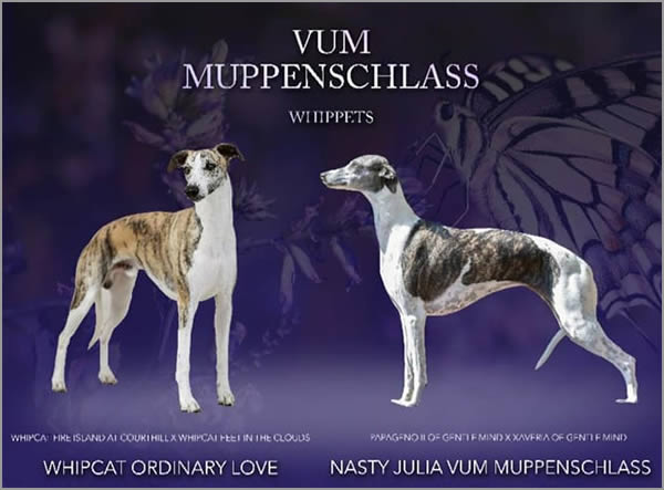 Vum Muppenschlass - litter - 22.04.2023