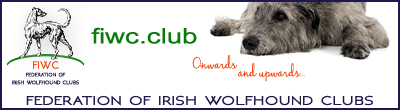 www.fiwc.club